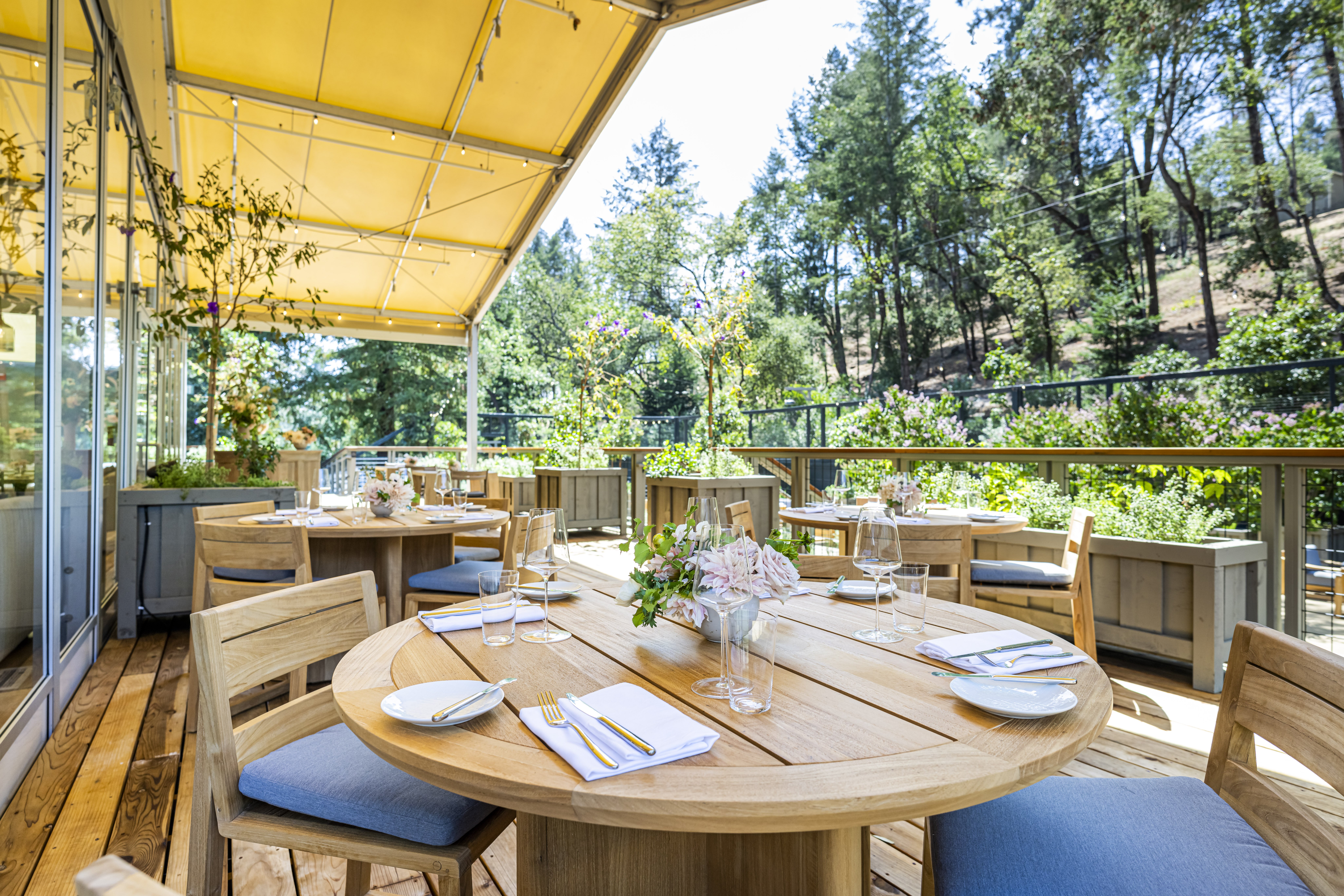 Meadowood Napa Valley 30/50