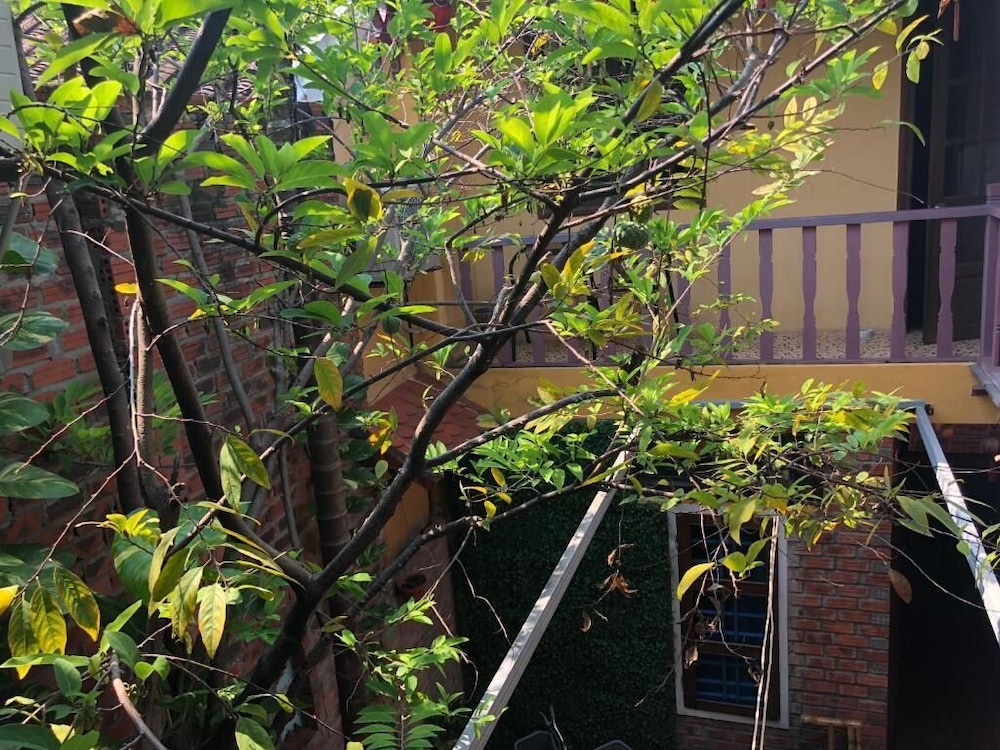 Nha Lan Homestay 35/47