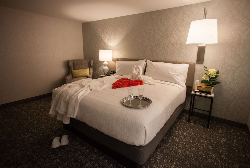 Hilton Garden Inn Springfield 12/76