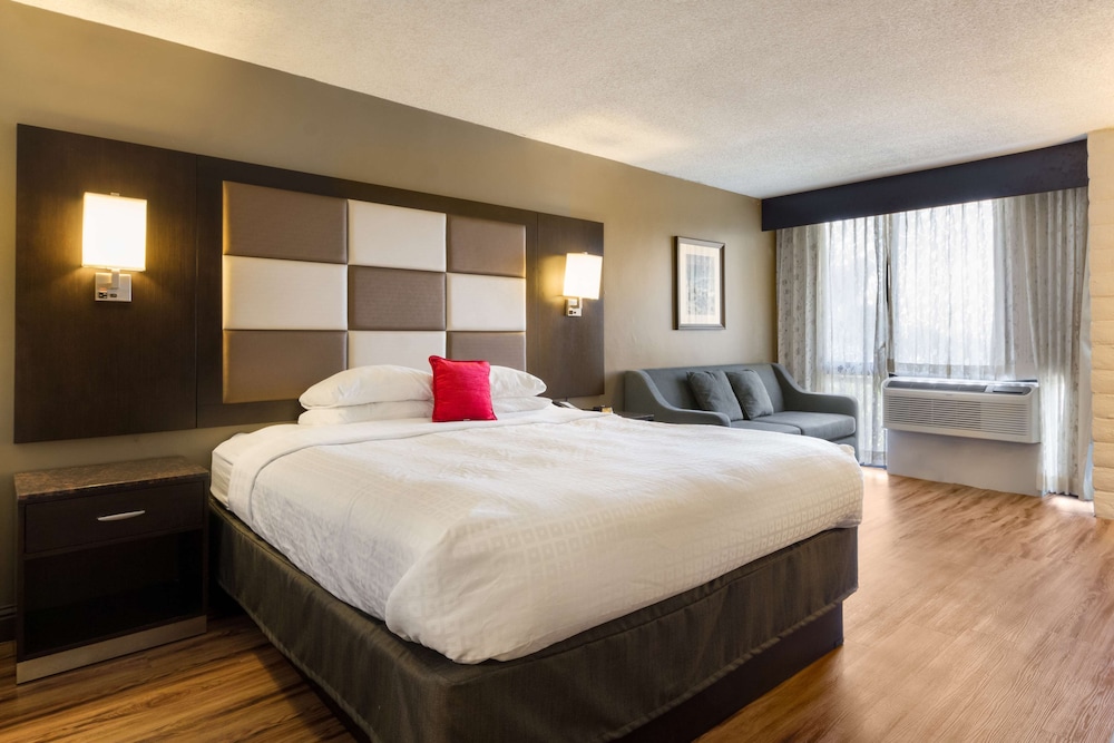 ROOM, KING BED, SOFA