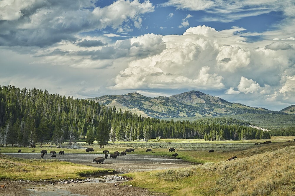 Montage Big Sky 47/50