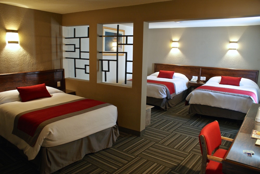Ramada Plaza by Wyndham Leon 23/54