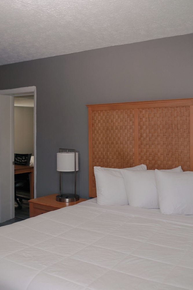 Southern Breeze Oceanfront 22/61