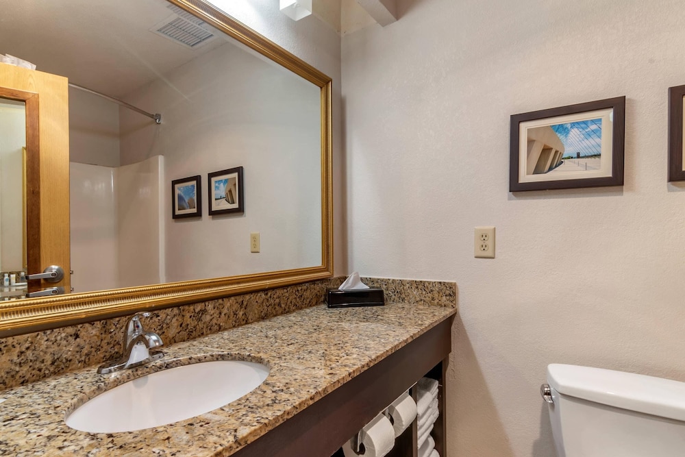 Comfort Inn and Suites Lees Summit Kansas City 49/50