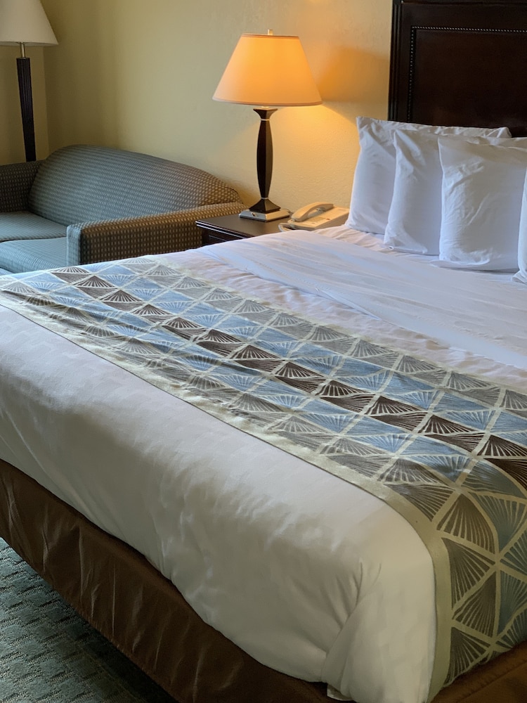 Ambassador Inn and Suites Tuscaloosa 42/57