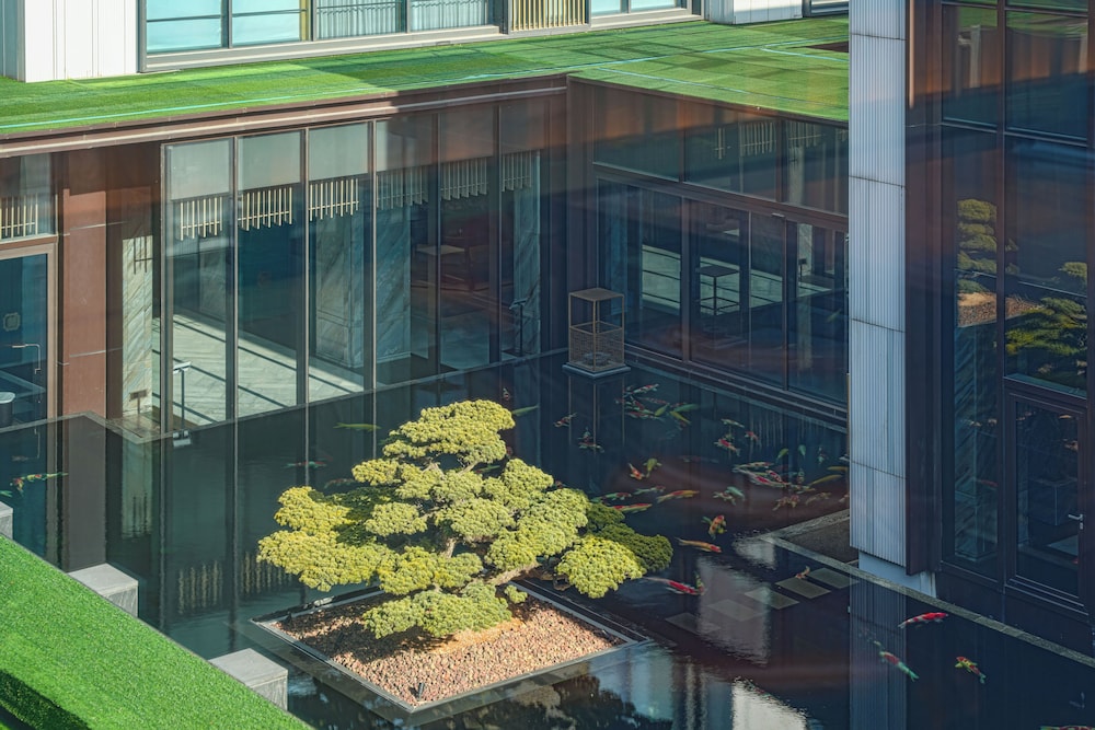 Park Hyatt Suzhou 3/50