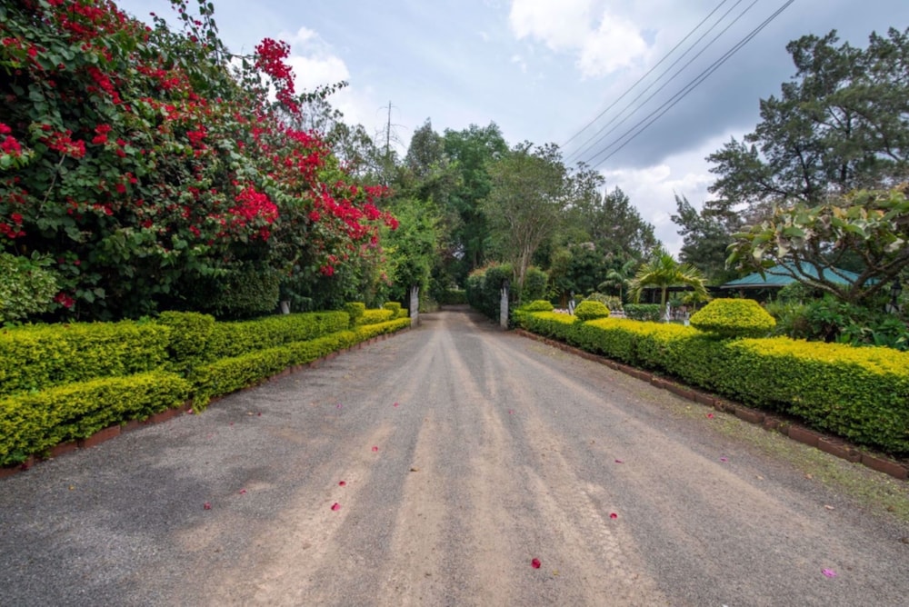 Hotel Troy Nairobi 34/46