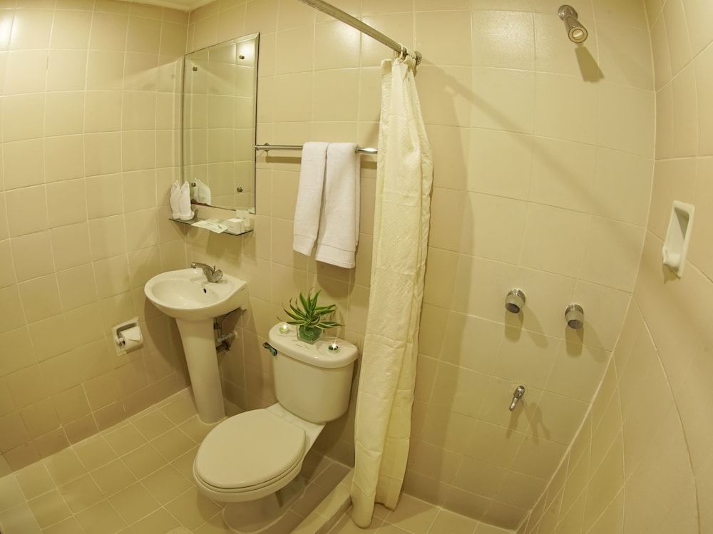 Rajah Park Hotel 48/50