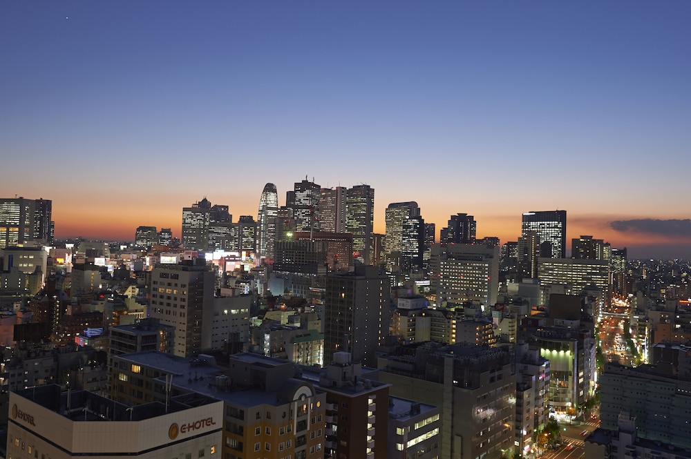 Sotetsu Fresa Inn Higashi Shinjuku 56/60