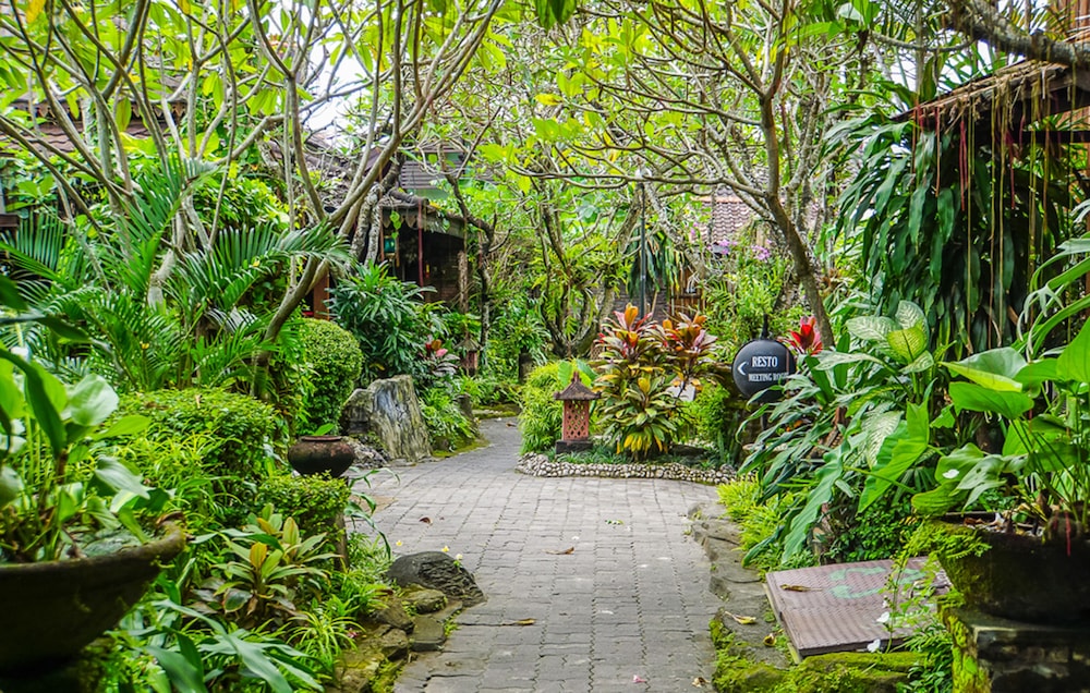 Jogja Village 39/50