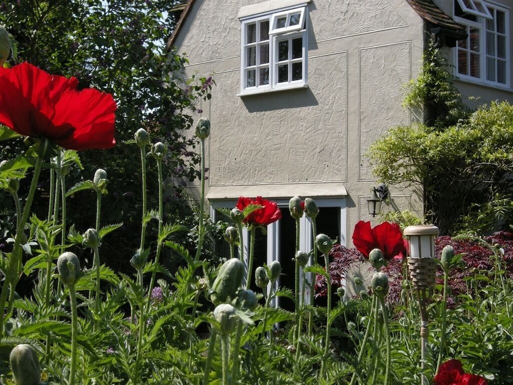 Motts Cottage 19/21