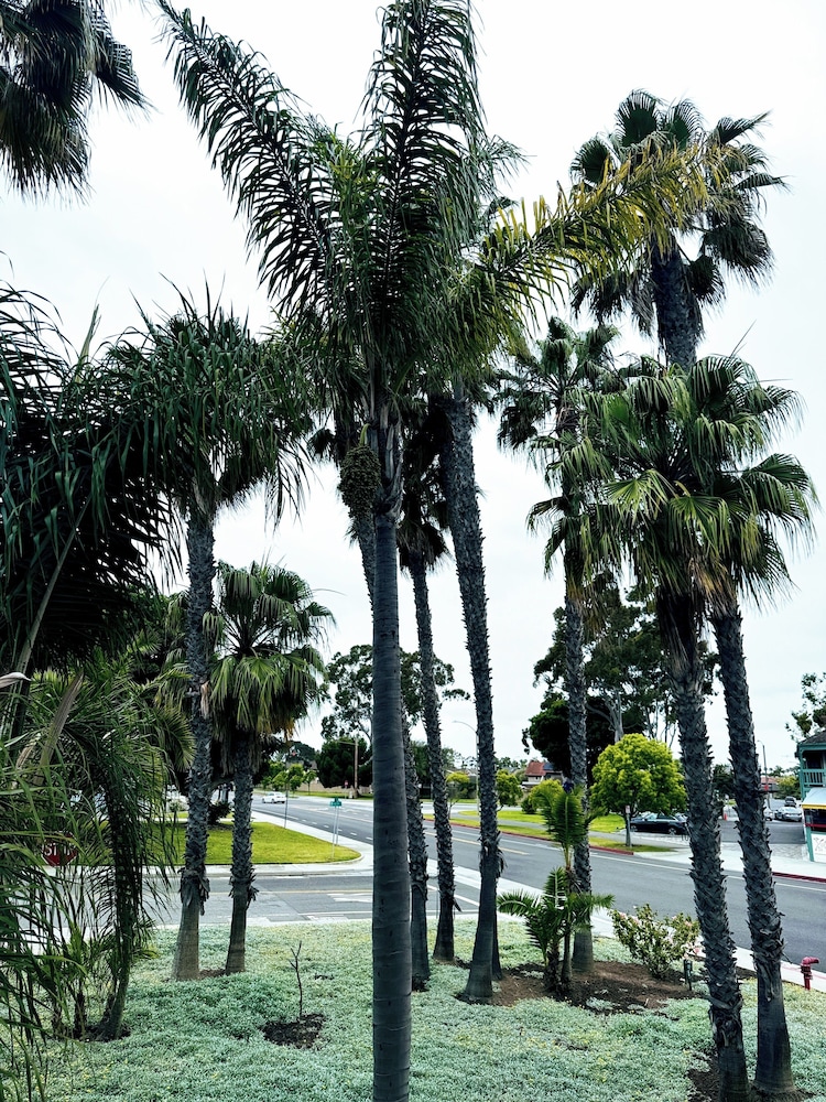 Pacific Inn 63/65
