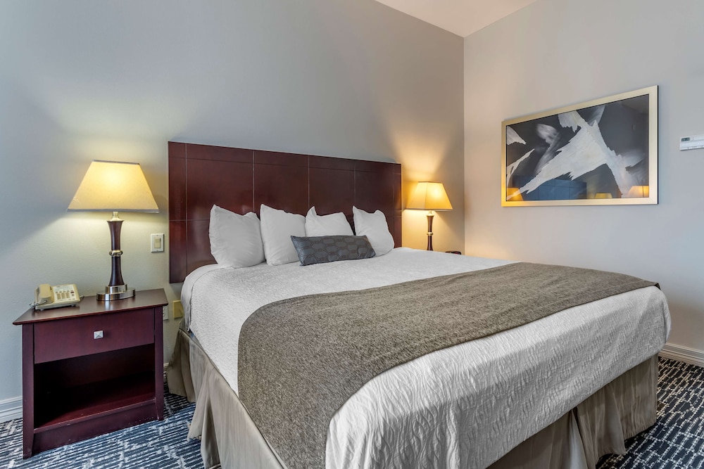 Best Western Sugarland Inn 16/35