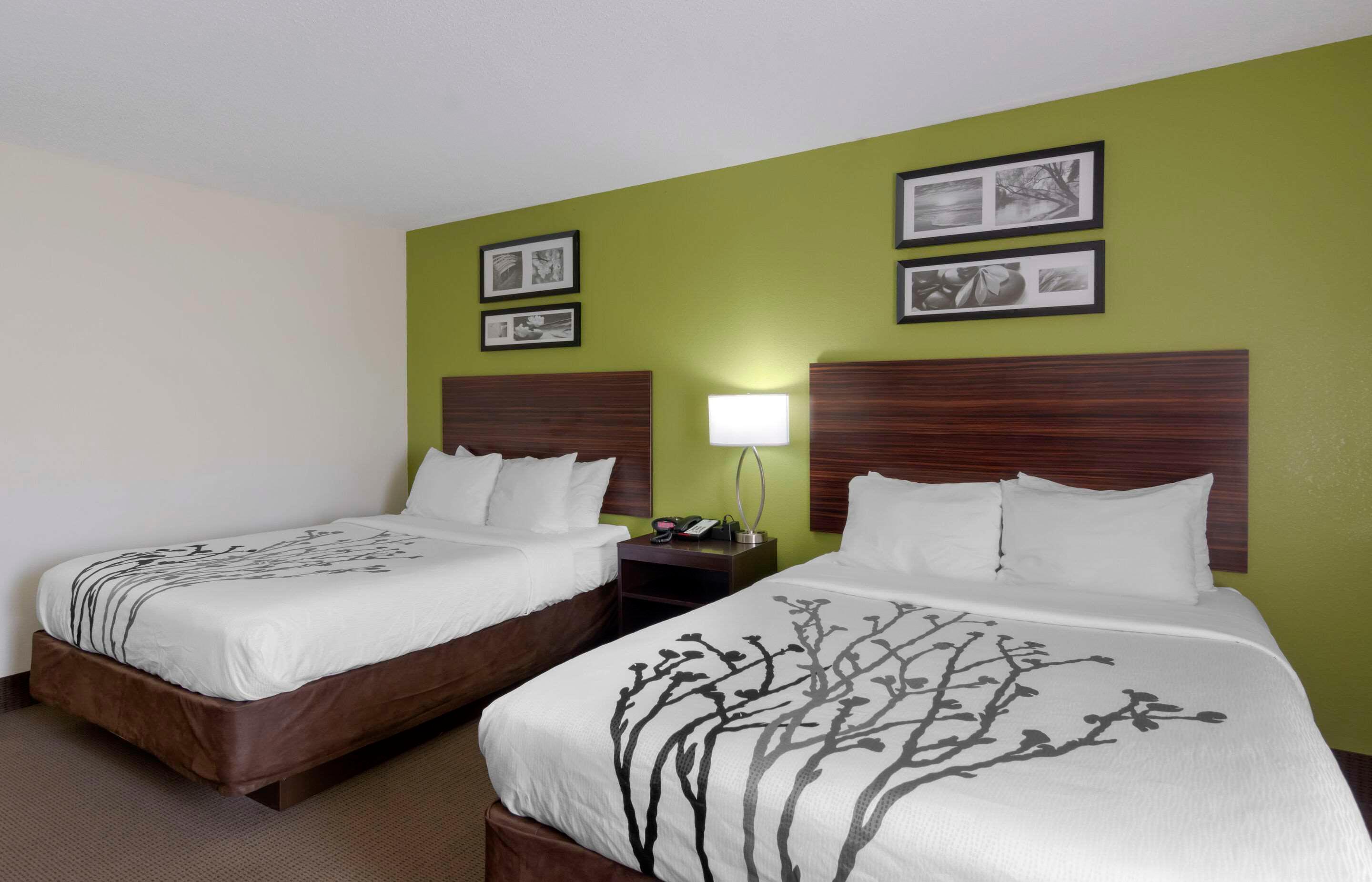 Room, 2 Queen Beds