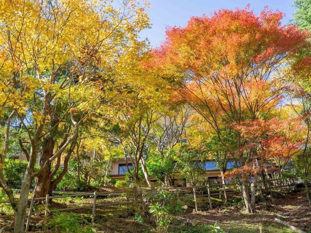 Hotel Seiryuso 42/46