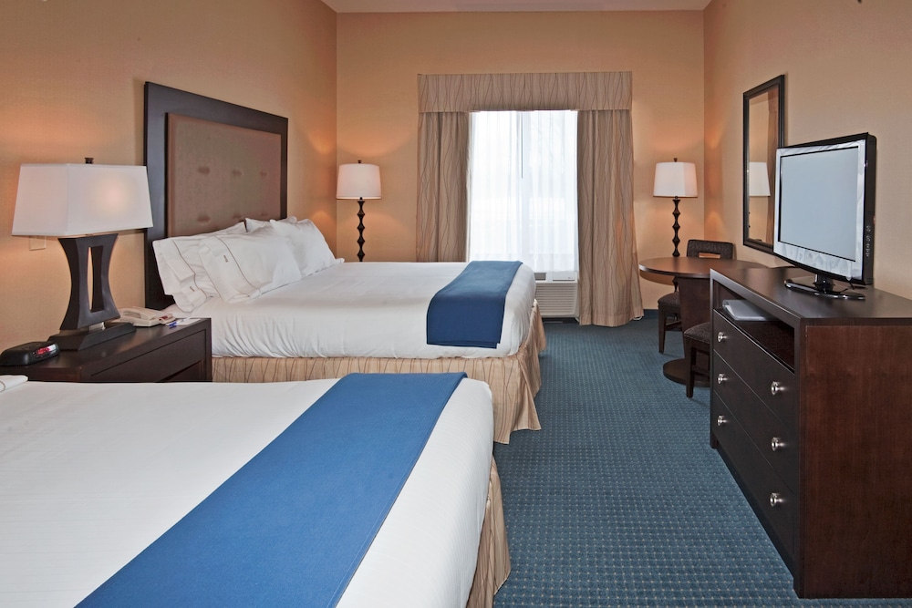 Holiday Inn Express Hotel & Suites Detroit-Novi 17/69