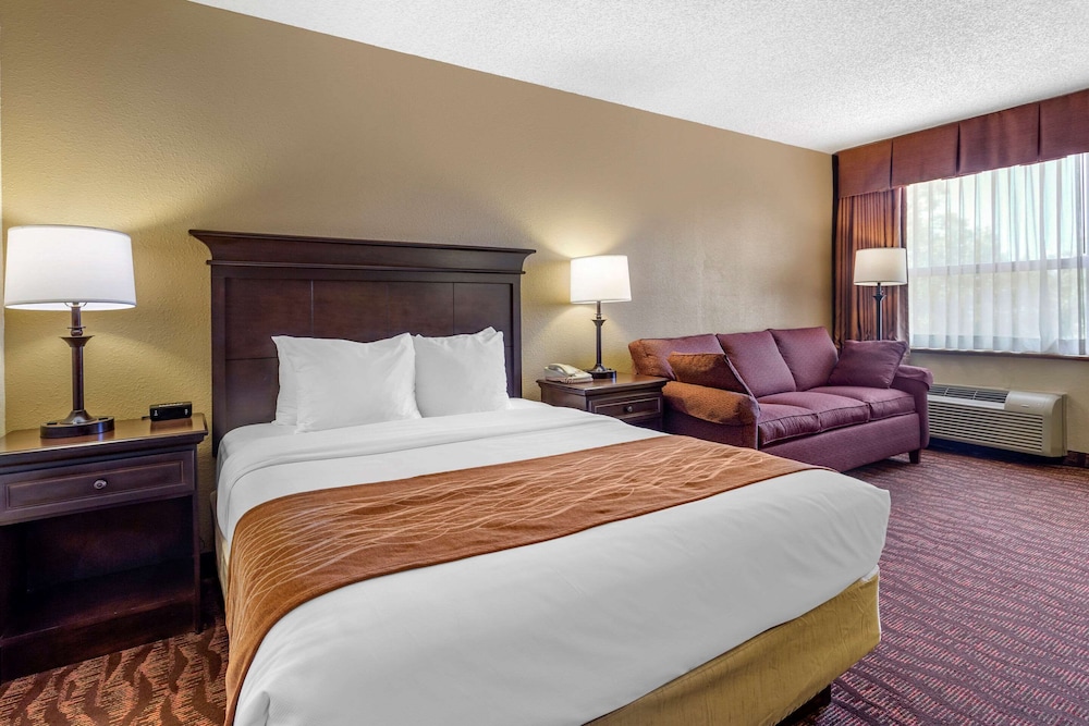 Comfort Inn at Thousand Hills 13/39