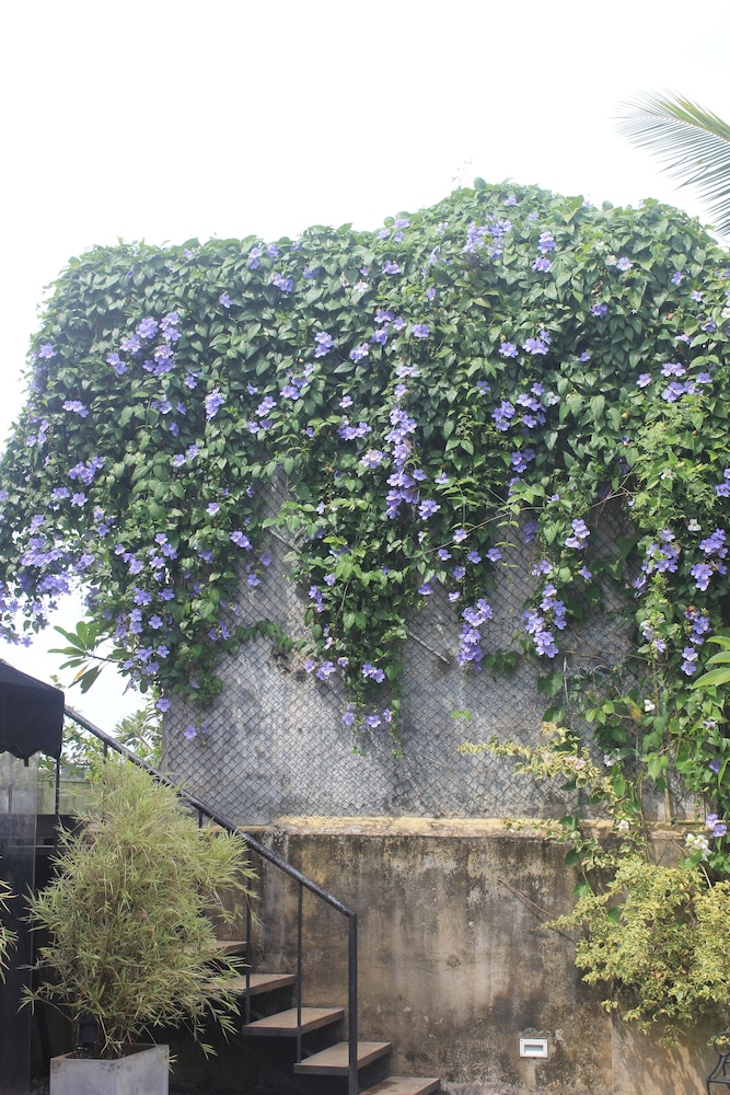 Villa Escondite 40/50