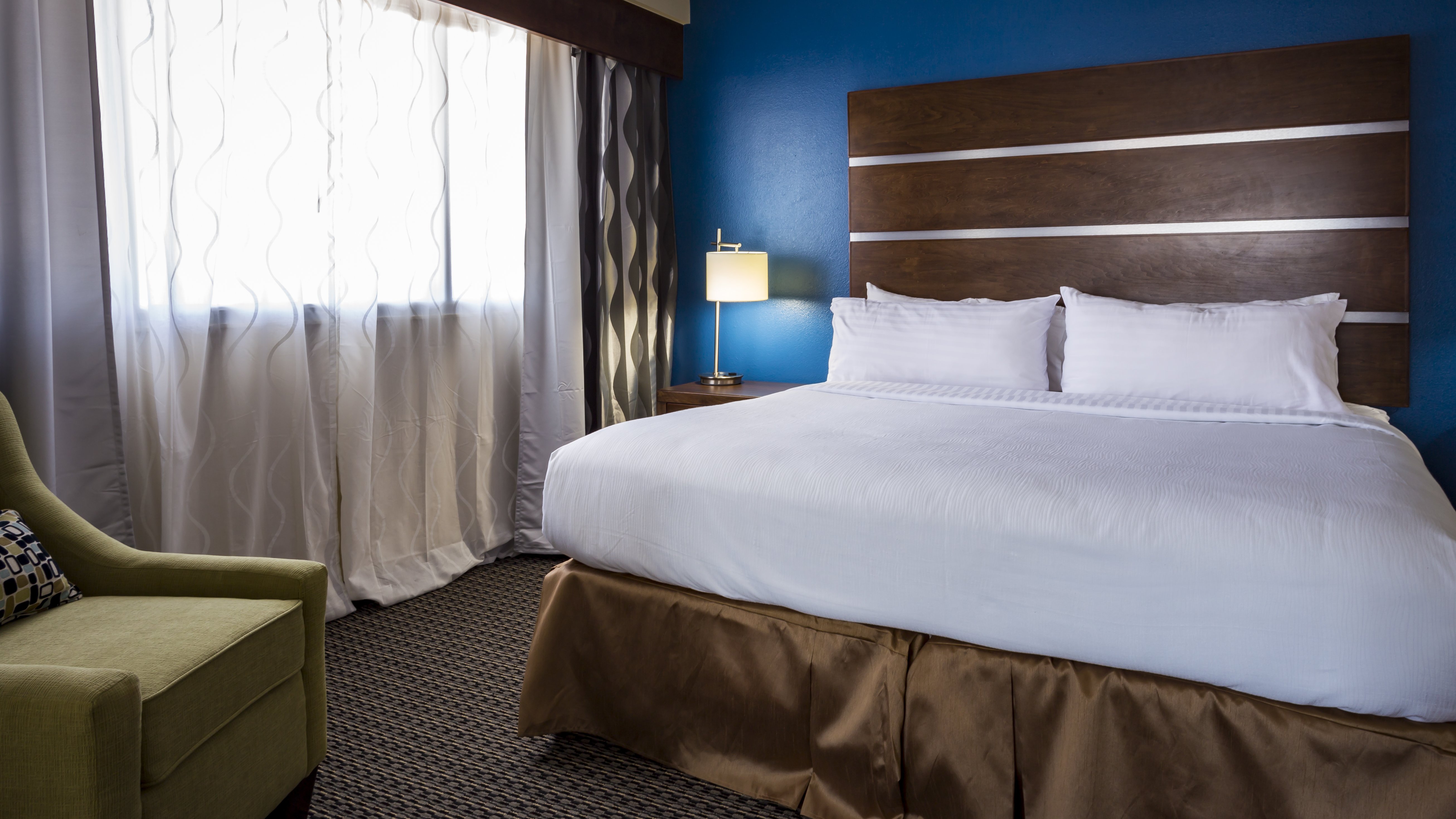 Holiday Inn Houston Downtown 31/77