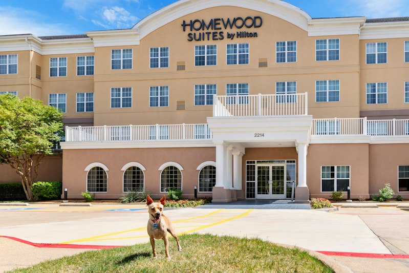 Homewood Suites by Hilton Dallas-DFW Airport N-Grapevine 2/46