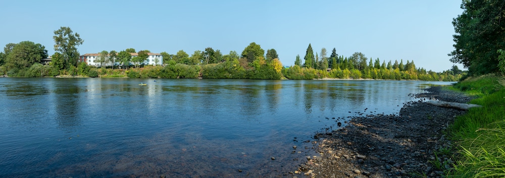 surroundings
