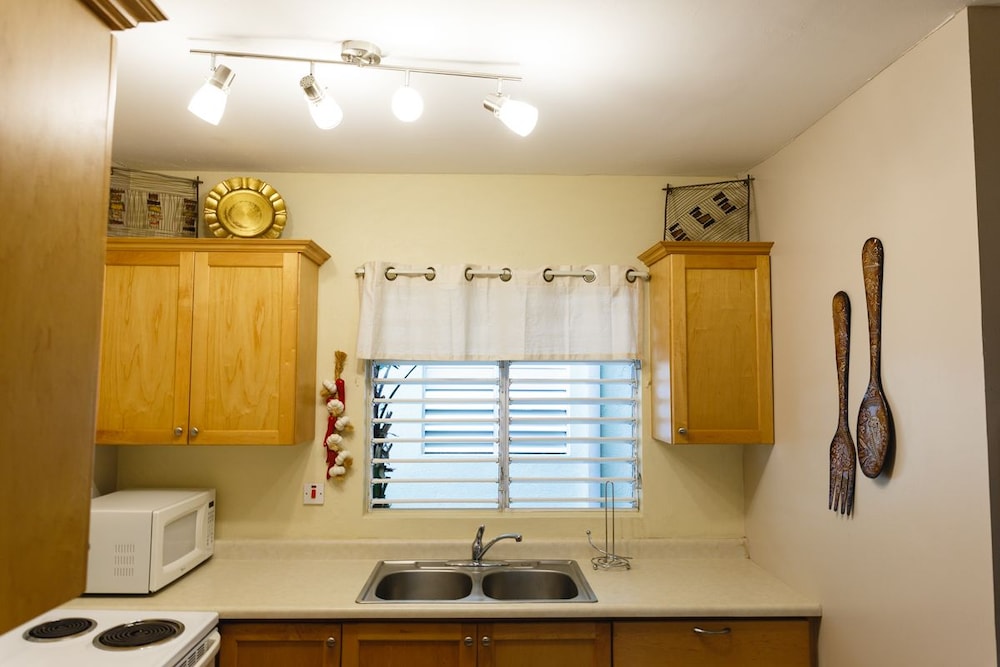 New Kingston Guest Apartment Vii 30/32