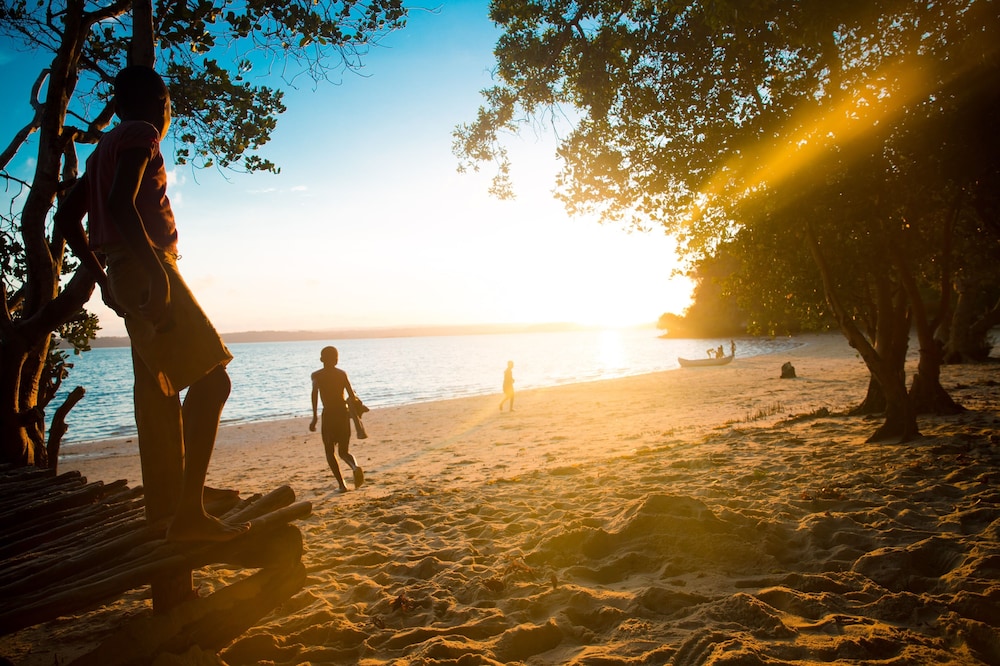 DISTANT RELATIVES ECOLODGE & BACKPACKERS 30/50