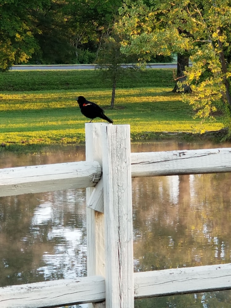 Drakes Creek Inn 30/56
