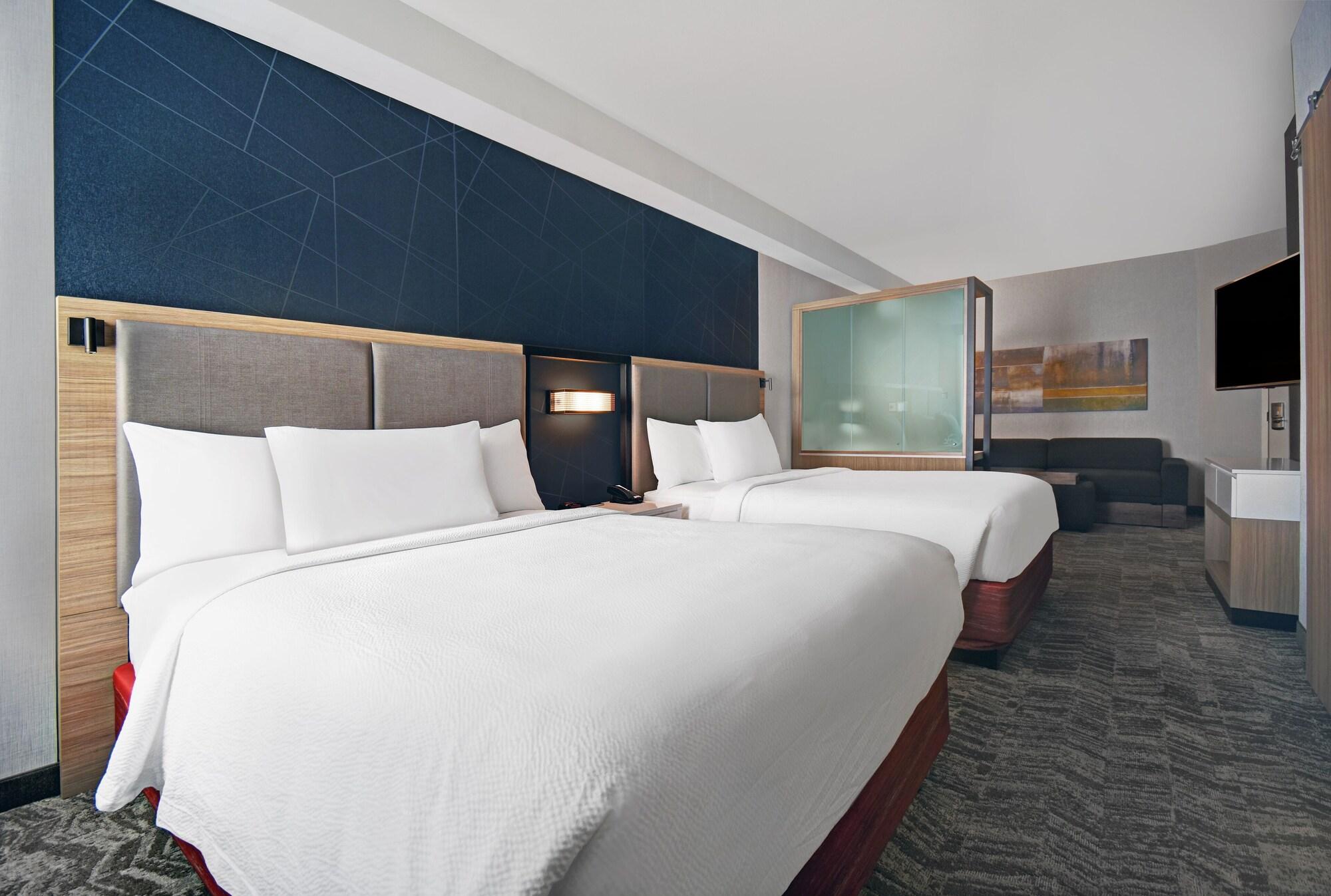 Suite, Multiple Beds, Accessible