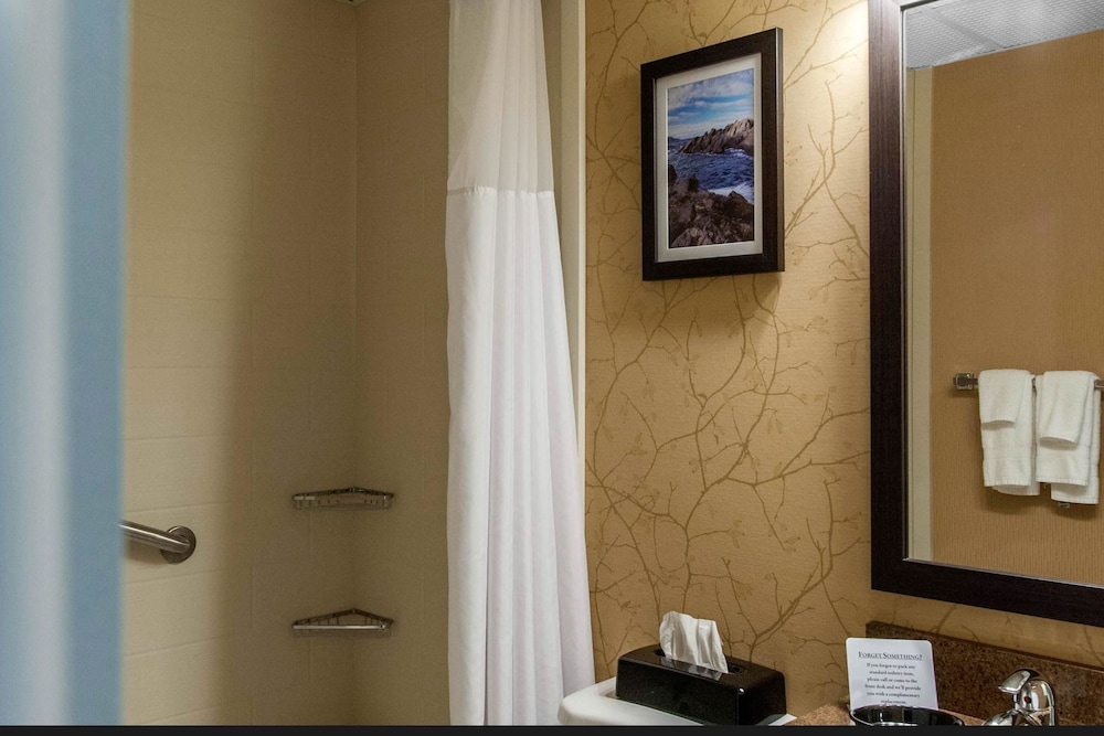 Quality Hotel & Suites Gander 8/37