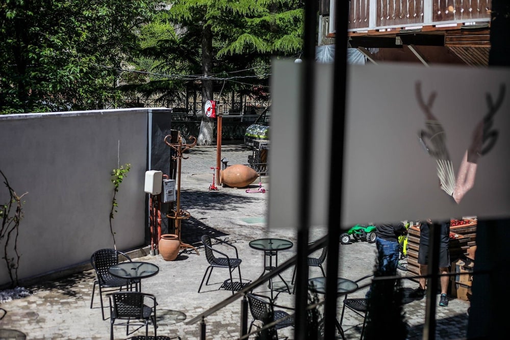 Borjomi Underwood Hotel 50/60