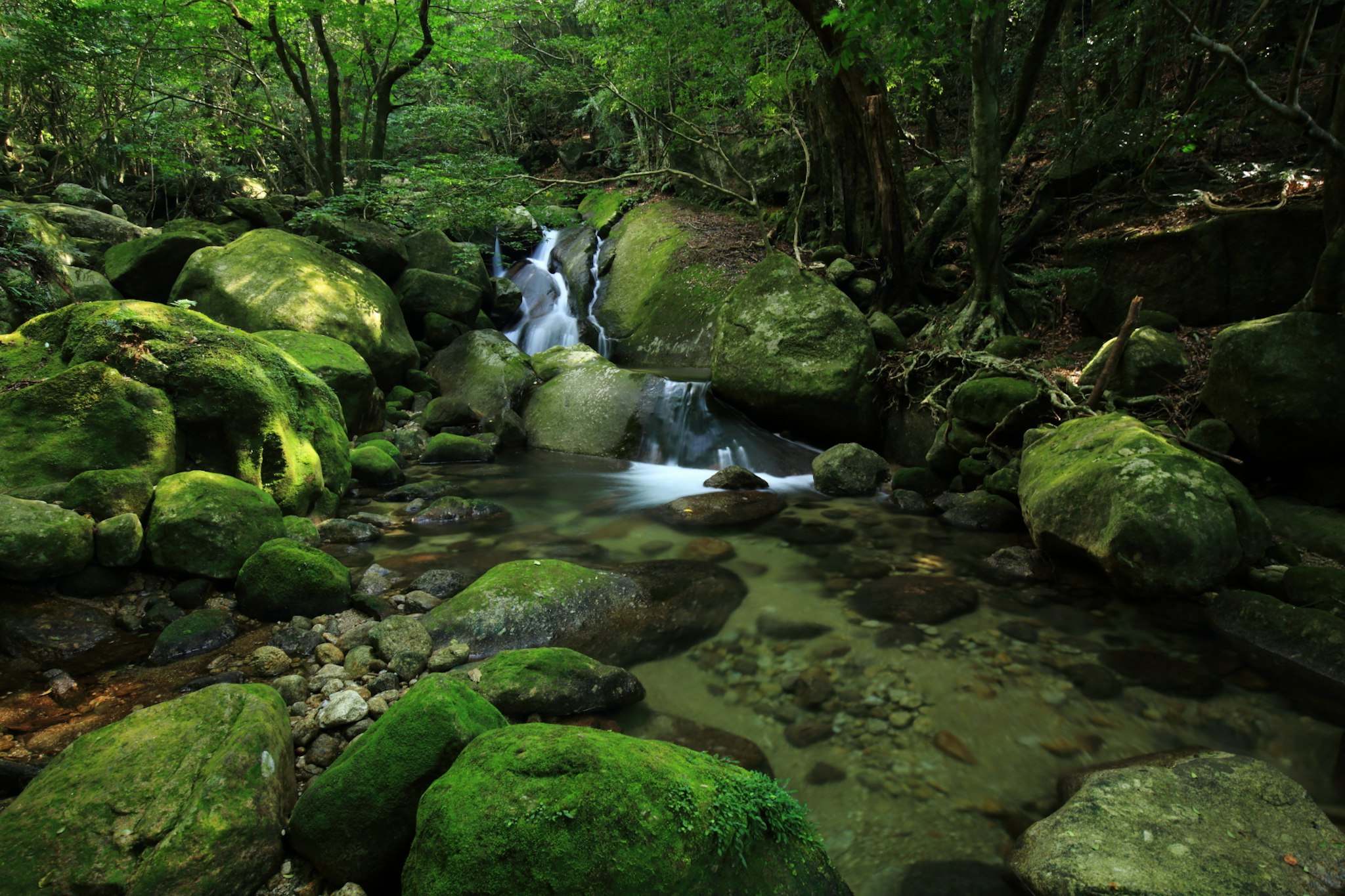 Sankara Hotel & Spa Yakushima 47/49