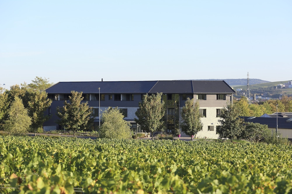 Les Grains DArgent 17/20