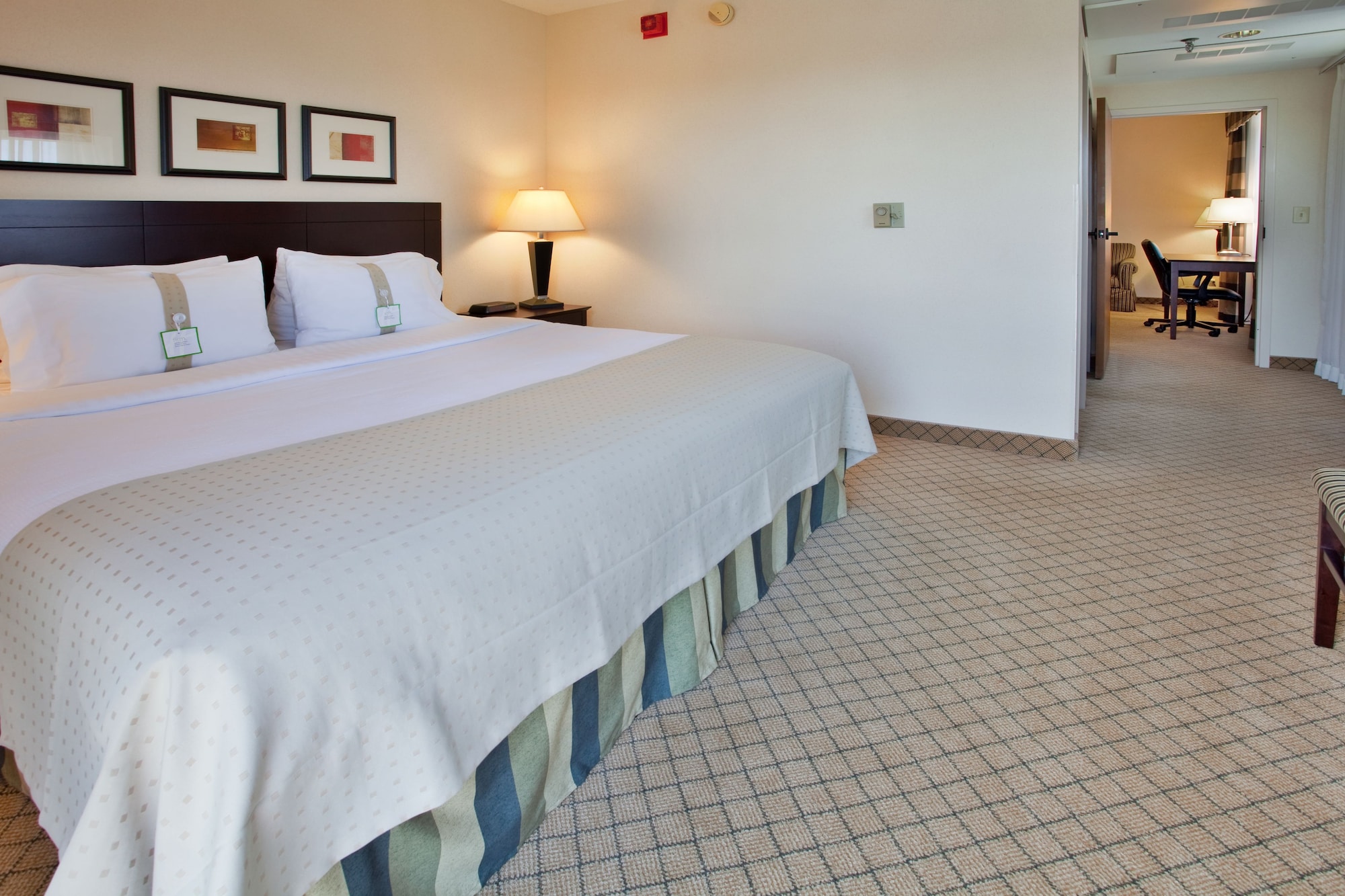 Study, Suite, King Bed