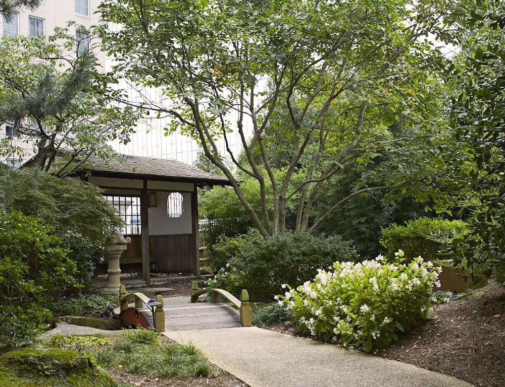 Grand Hyatt Atlanta In Buckhead 48/50