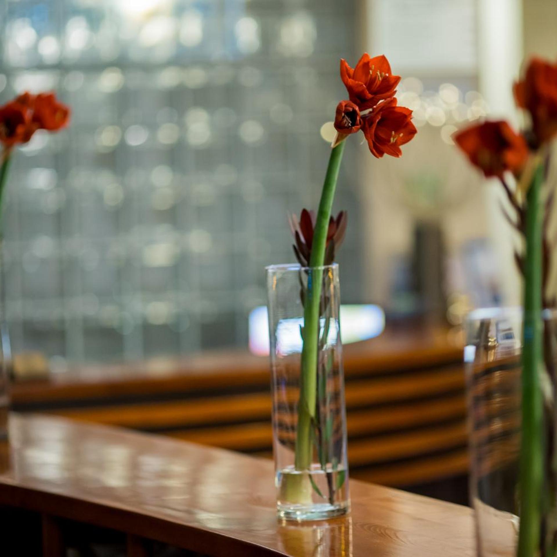 Best Western Hotel Park Sfantu Gheorghe 31/55