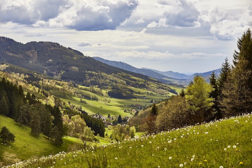 ElzLand Hotel Pfauen Wellness Spa and Vitalis Hotel 41/50
