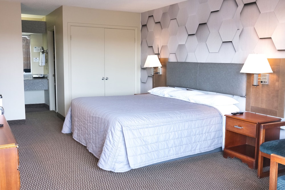 Regency Inn 20/72