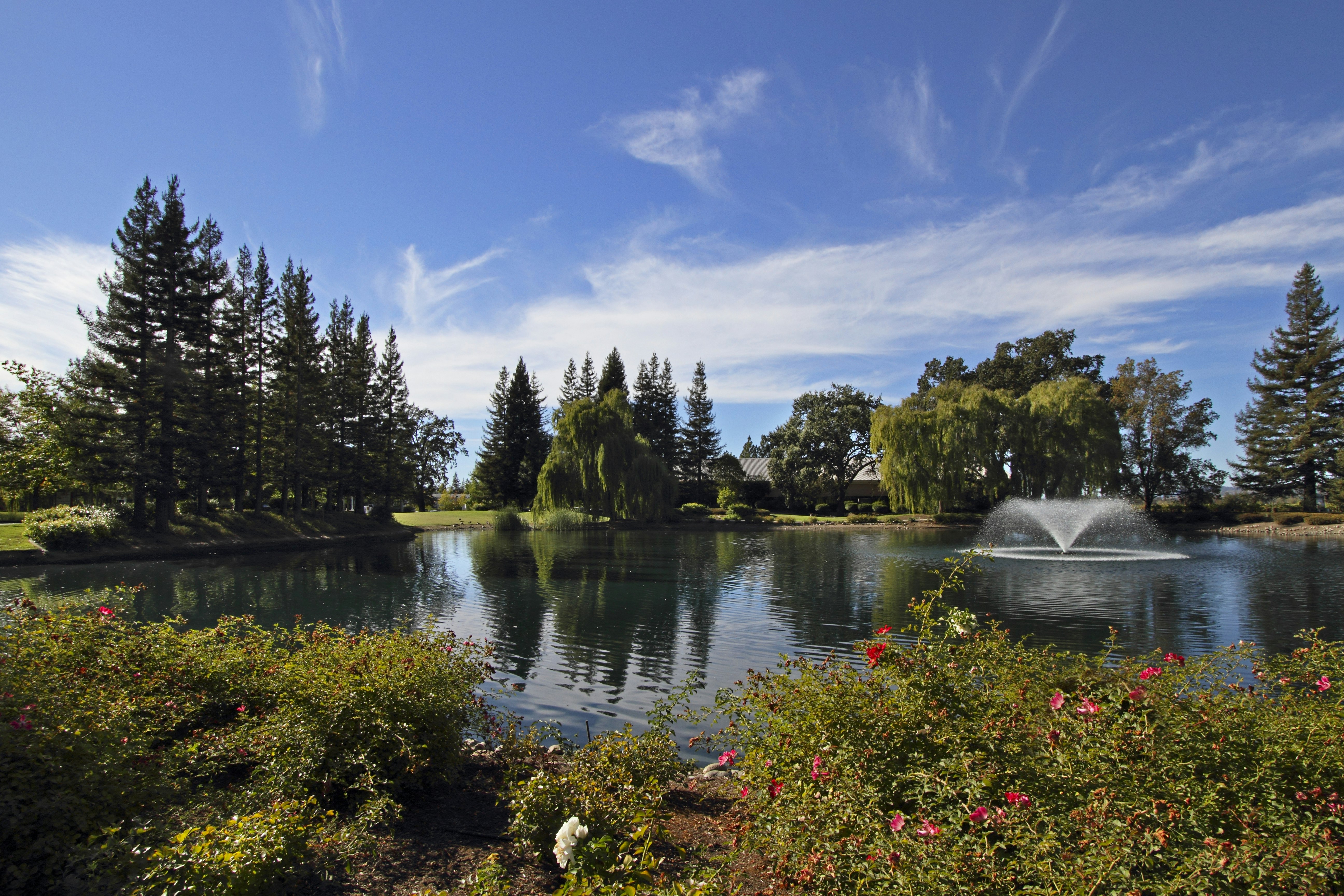 Hilton Garden Inn Sonoma County Airport 53/59