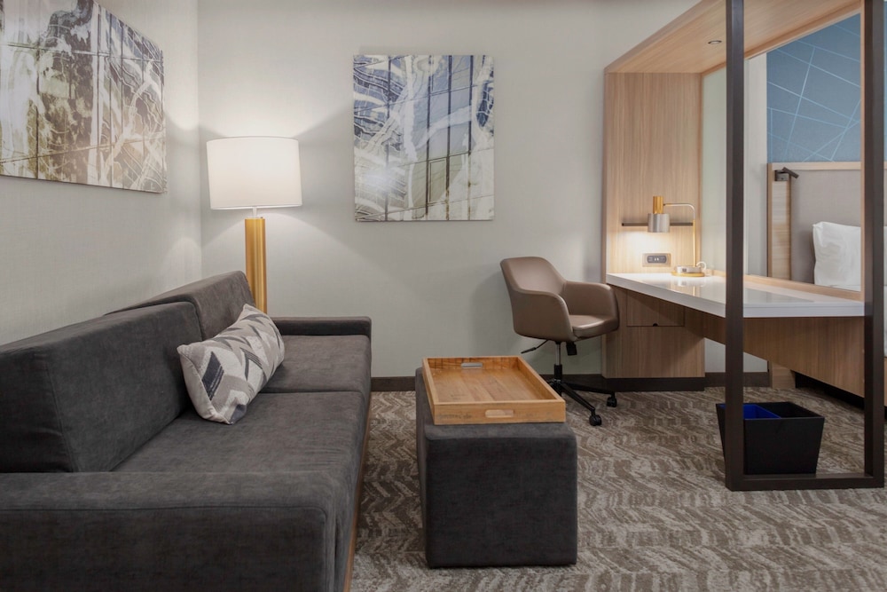 SpringHill Suites by Marriott Durham City View 19/33