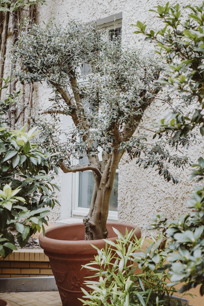 Honigmond Boutique Hotel 63/72