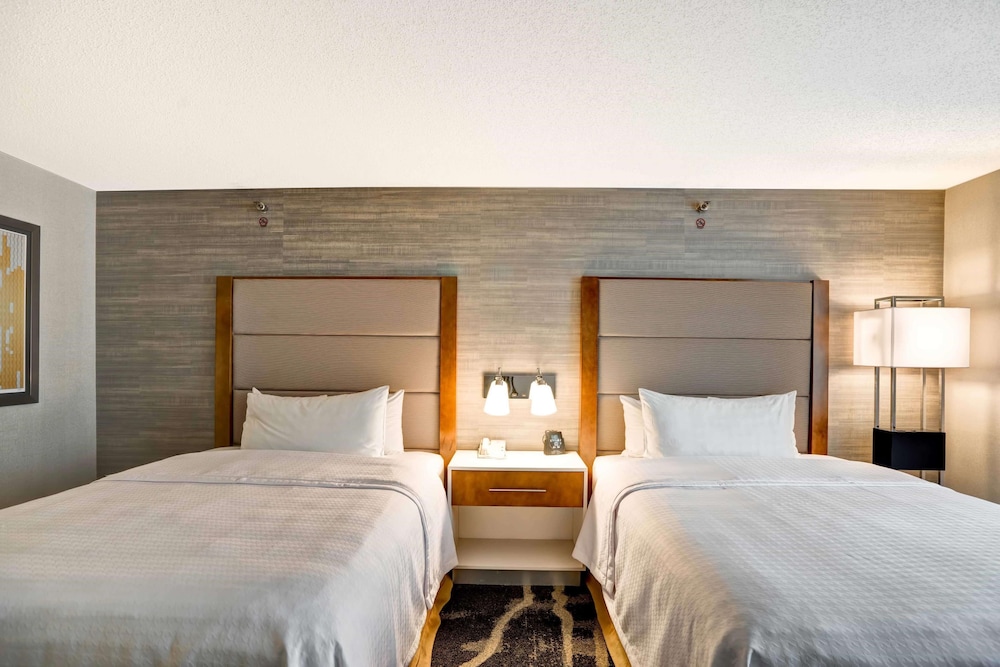 Homewood Suites by Hilton Chicago Downtown 13/51