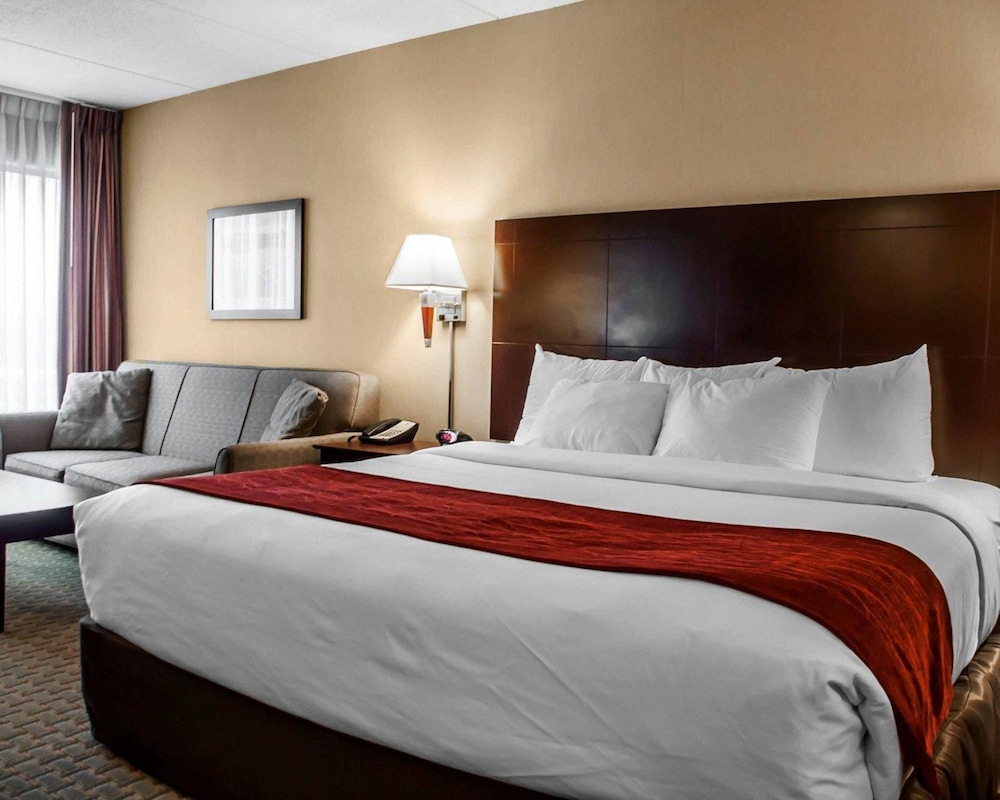 Comfort Inn & Suites Watertown - 1000 Islands 25/54