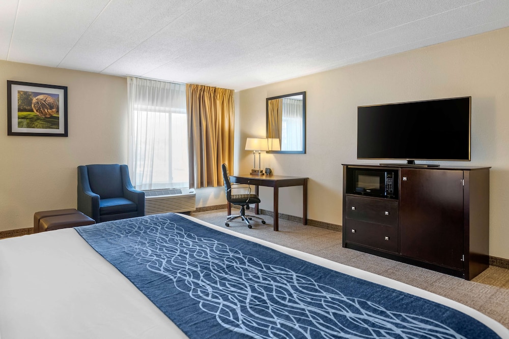 Comfort Inn Grand Rapids Airport 12/35