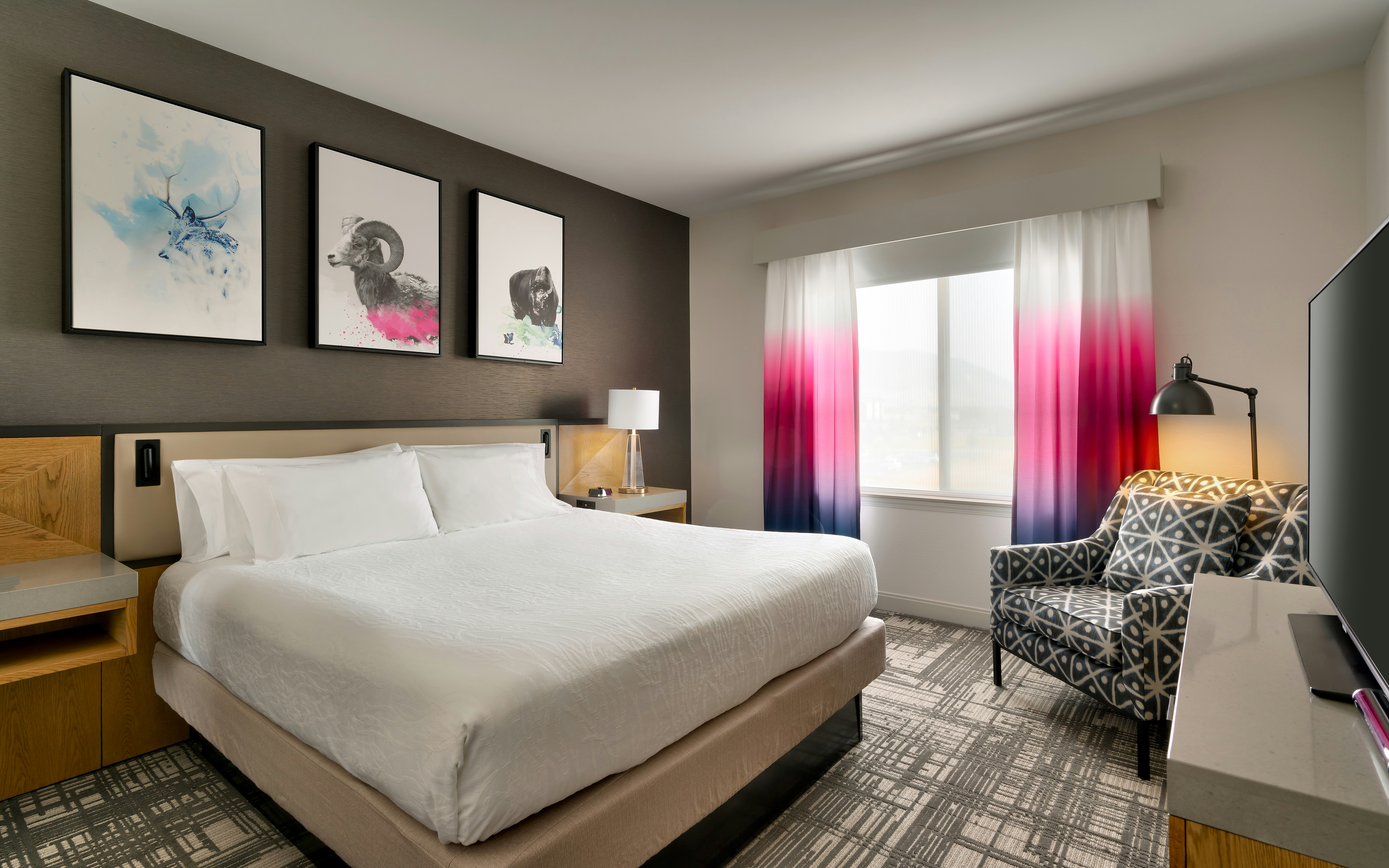 1 Bedroom, Suite, King Bed