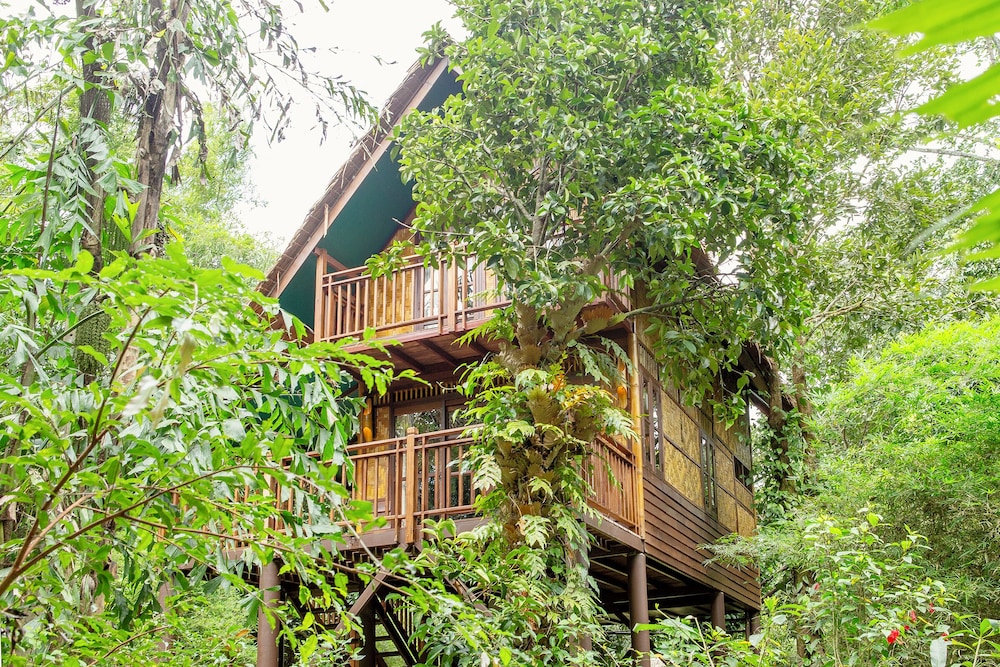 Our Jungle Camp - Eco Resort 11/75