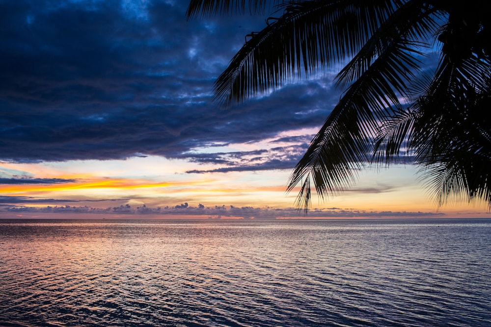 Plantation Island Resort 44/50