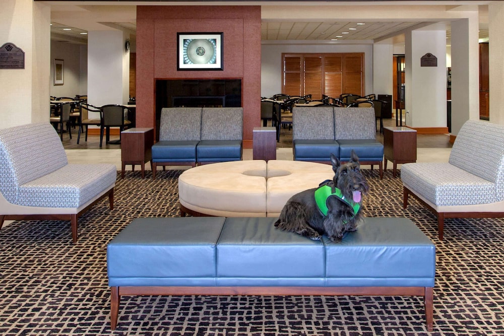 Wingate by Wyndham Chantilly / Dulles Airport 20/48