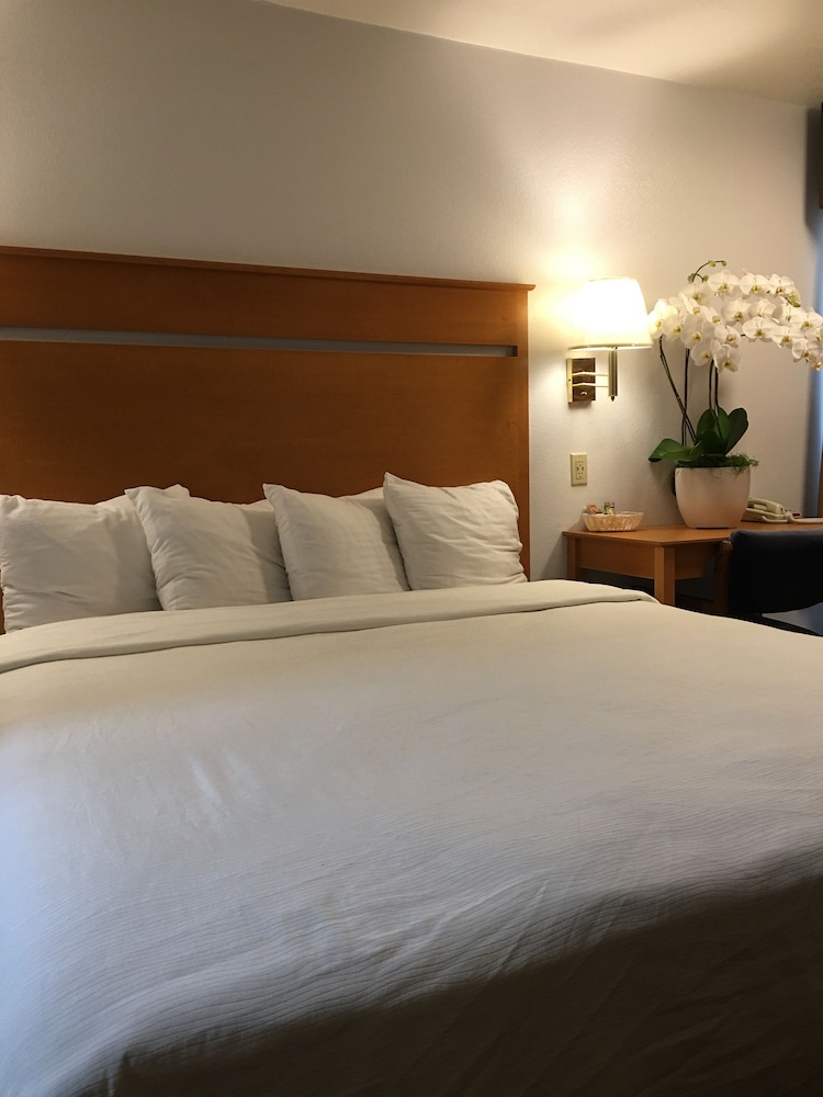 Oceanview Motel - Huntington Beach 11/50