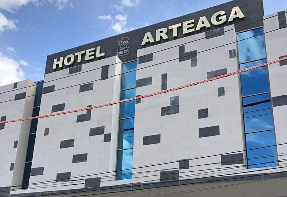 Hotel Plaza Arteaga 3/44